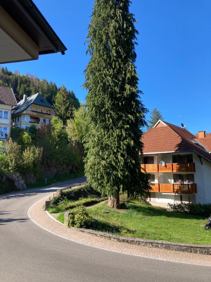 Haus Sonne Apartment Todtmoos Exterior photo